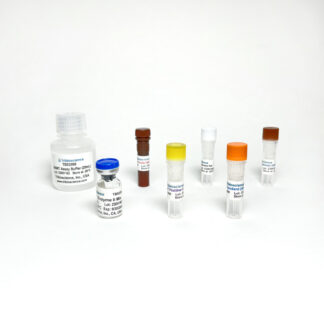 NNMT Activity Assay Kit (Colorimetric / Fluorometric)