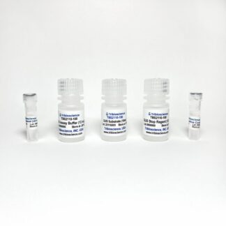 ?-Glucuronidase Assay Kit