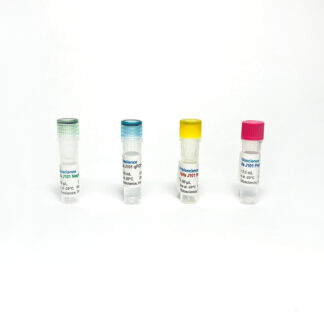 Alfalfa GMO J101-Mon89487 qPCR Detection