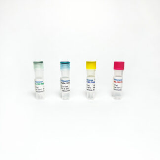 Alfalfa GMO J163-Mon89644 qPCR Detection
