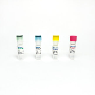 Alfalfa GMO KK179-MON00179-5 qPCR Detection