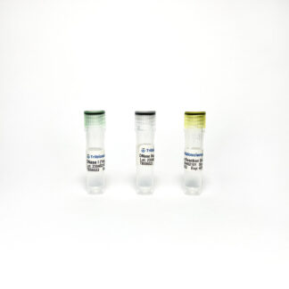 Tribo™ DNase I Solution (1 mg/mL)