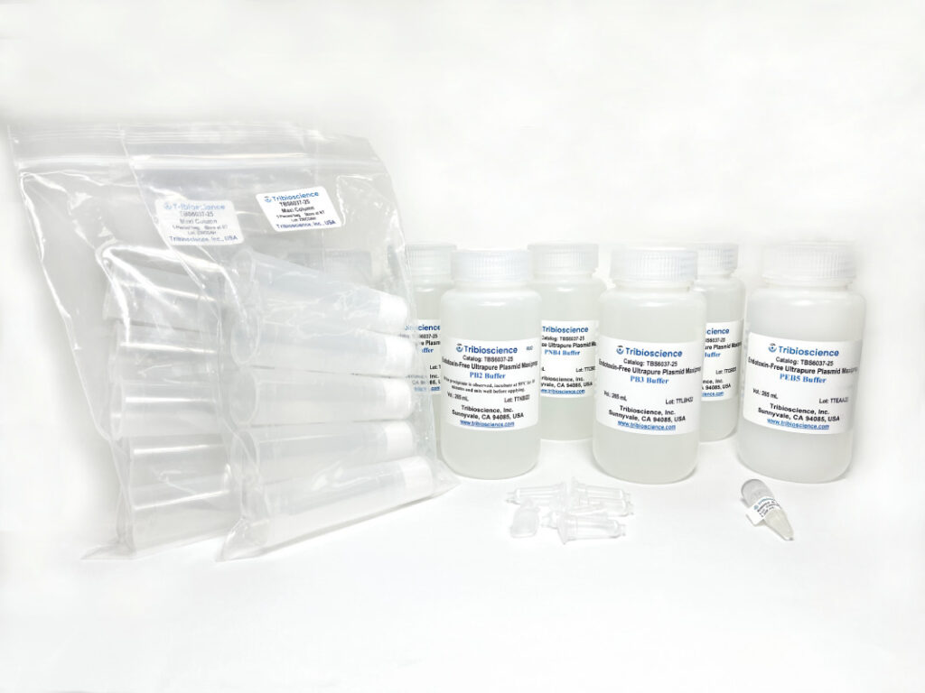 Endotoxin-free Ultrapure Plasmid DNA Maxiprep