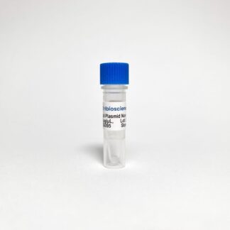 Cas9 Nuclease Plasmid Non-Viral Vector