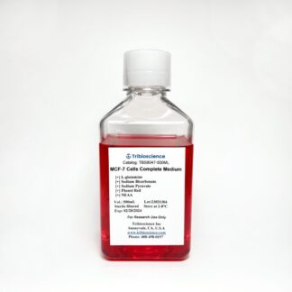 MCF-7 Cell Complete Medium