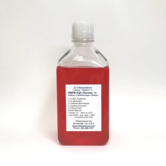 DMEM- high Glucose Medium with Sodium Pyruvate