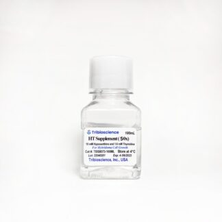 Hypoxanthine-Thymidine (HT) Supplement (50x) for Hybridoma Cell growth