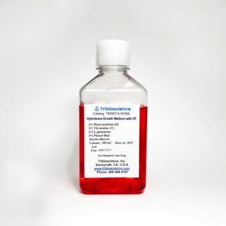 Hybridoma Cell Growth Medium with Hypoxanthine-Thymidine (HT)