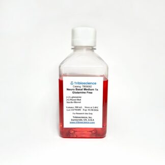 Neurobasal Plus Medium