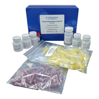 Plasmid DNA Rapidprep Mini Kit